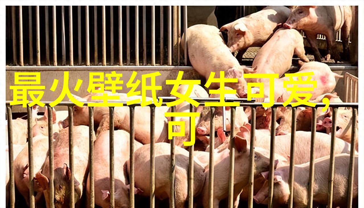 探索汉字的源起与演变从甲骨文到现代汉字的精彩历程