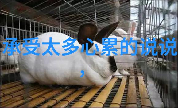 古风诗意网名追寻雅韵的内涵之旅