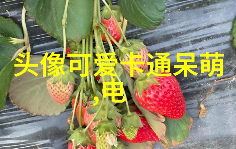冷门繁体字探秘 百年沉睡的文字揭秘100个鲜为人知的繁体字