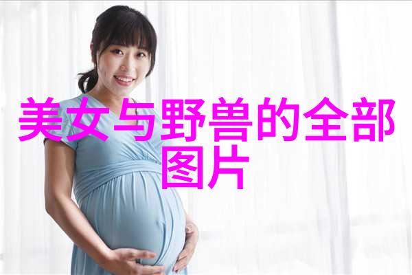 汉字文化演变历程古文字到现代汉字的发展