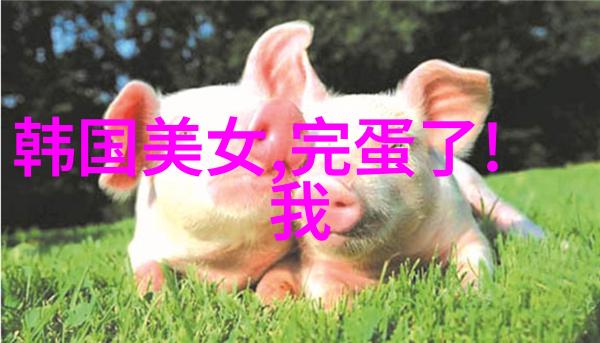 春节大爆笑揭秘传统节日背后的古怪故事