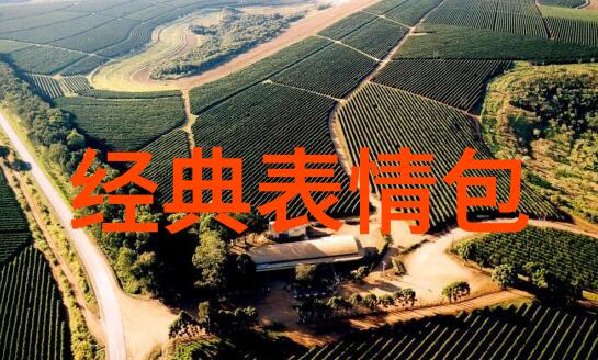 12月的节日我眼中的冬至美好