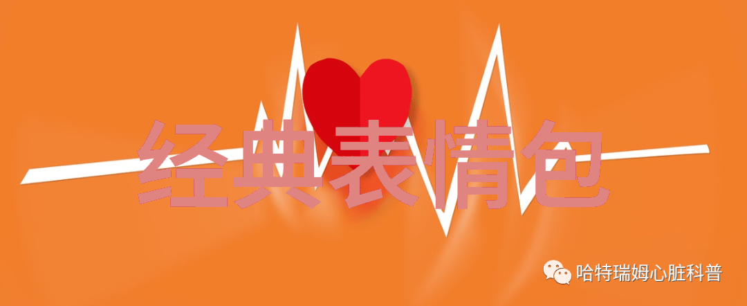 丁真3月出生的水瓶座人物简介介绍