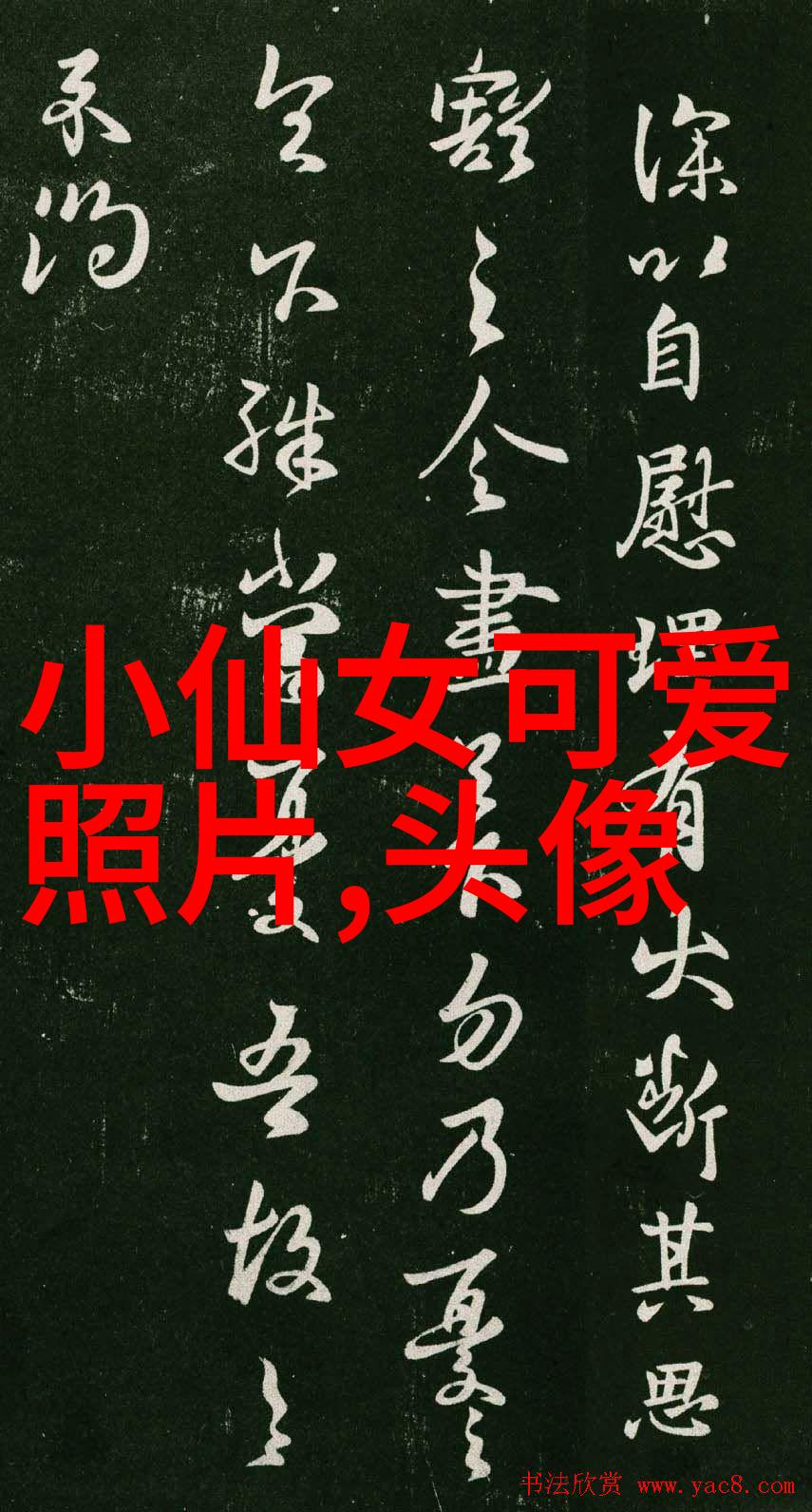 全部免费聊天交友软件背后的隐私保护策略是什么