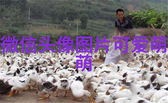于童出席概念发布会 清丽优雅独特见解颠覆时尚