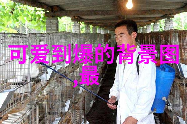 圣诞节日历-摇曳的星辰探索圣诞节日历背后的故事与文化