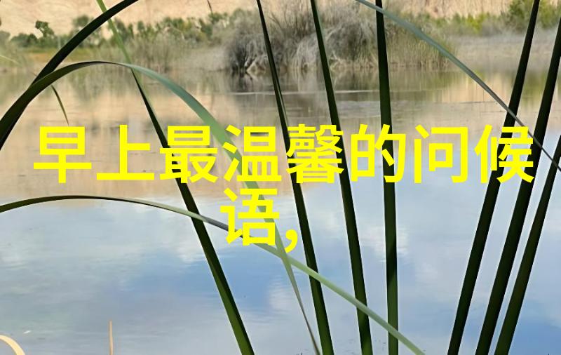 探索心情字典中的力量与魅力