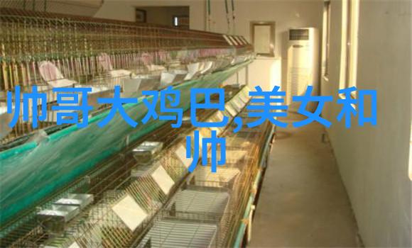 汉字大全表揭秘千古文字符号的奥秘