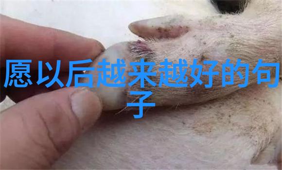 揭秘那些神秘的免费微信群二维码背后隐藏的诱惑与风险