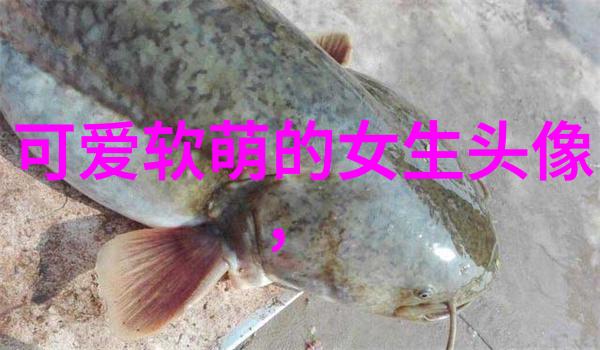 你心中最柔软的风是否在悄悄地呼唤我