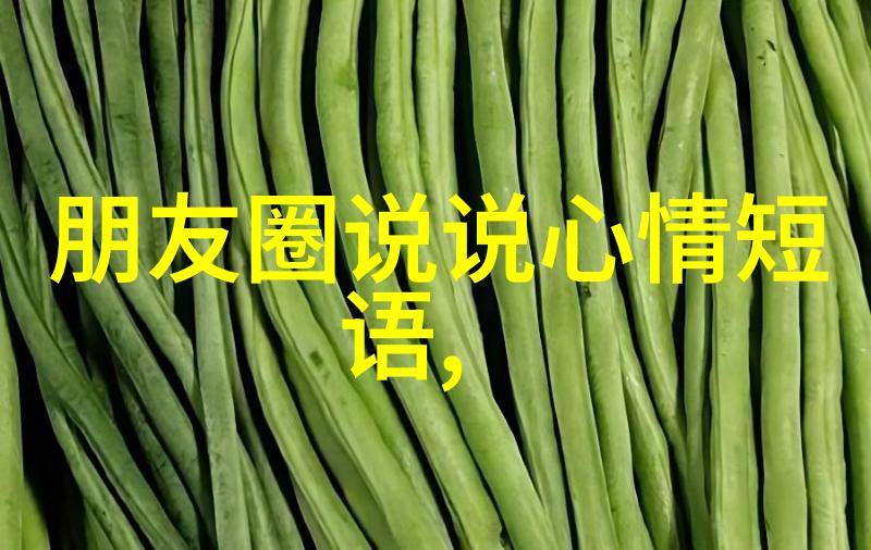 节日探秘-解密12.9背后的文化与庆典