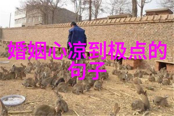 瞬间惊悚10秒让你心跳加速的恐怖挑战