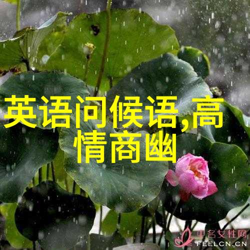 古韵哲思签语时光篇章心灵独语