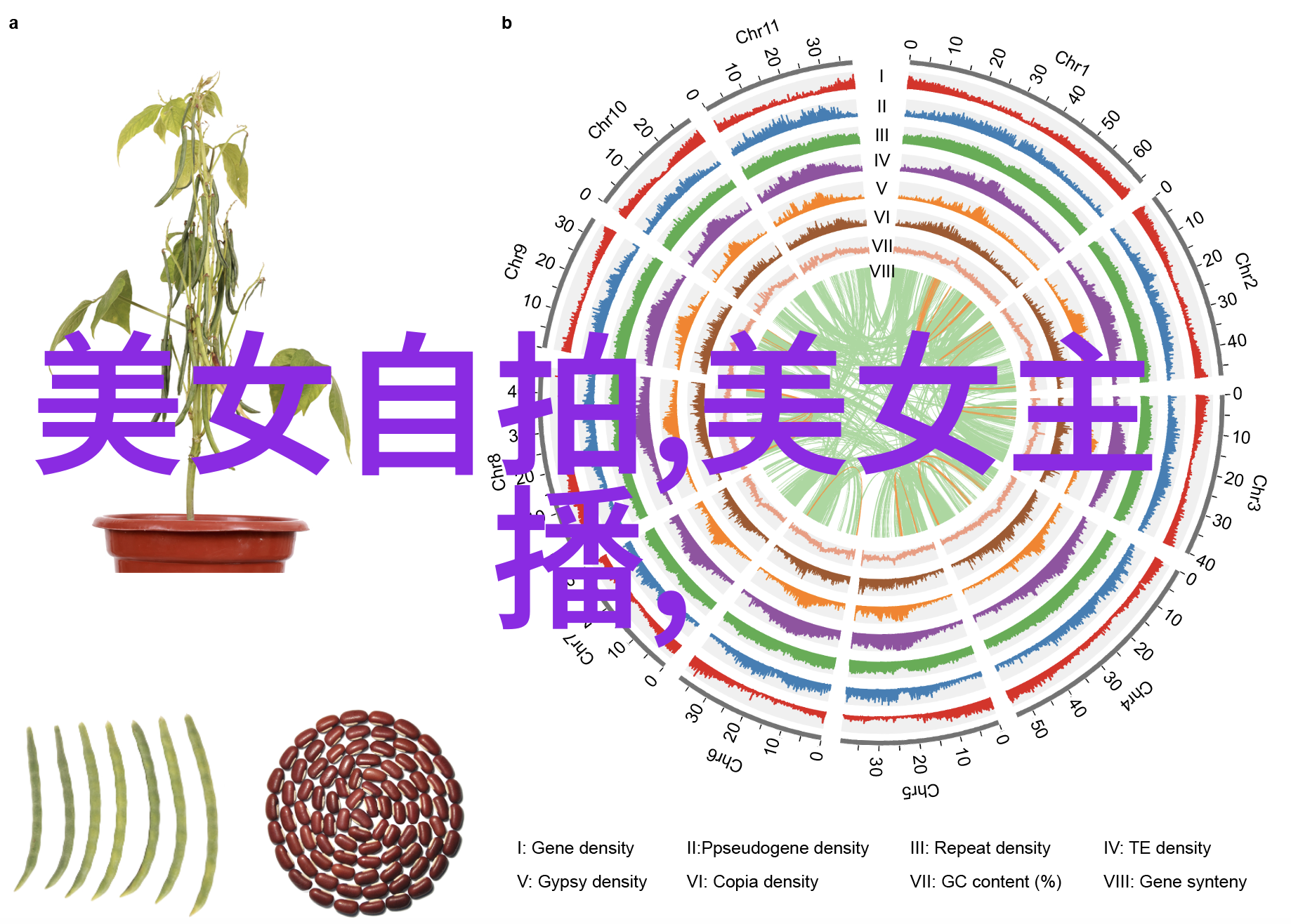 恐怖电影史上的奇迹揭秘吓死1亿人的鬼片背后的制作秘诀