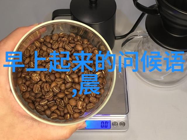 探索中国汉字演变的奥秘从甲骨文到现代汉字的精彩历程