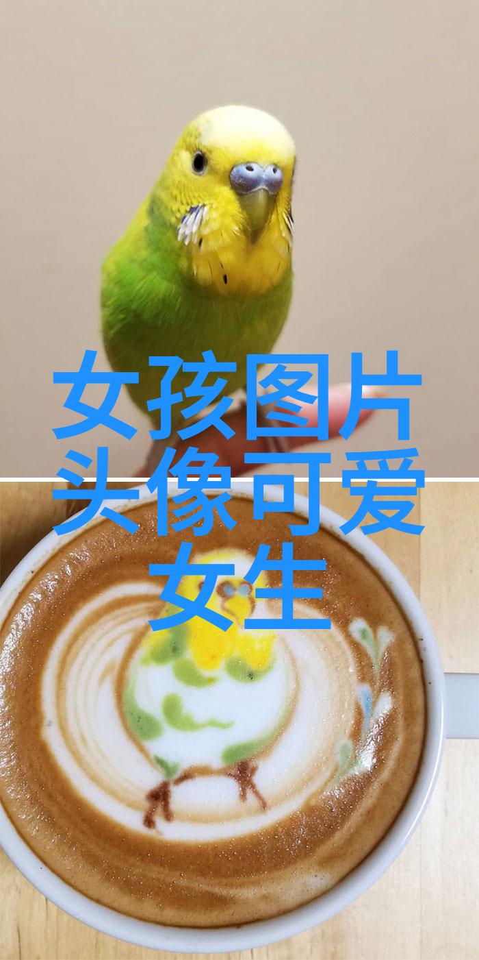 冬日清新朋友圈里的雪景美句冬季雪花自然风光分享感受