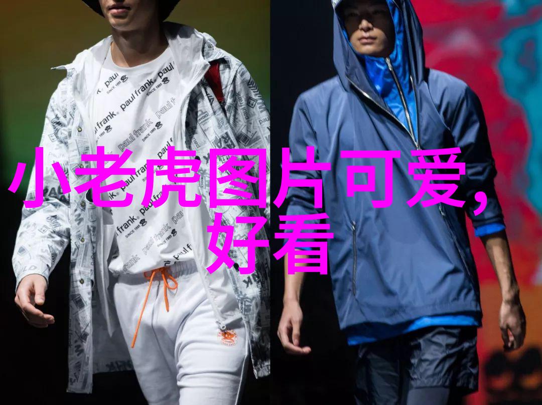 星光闪耀的梦想舞台超越现实的幻想全明星们