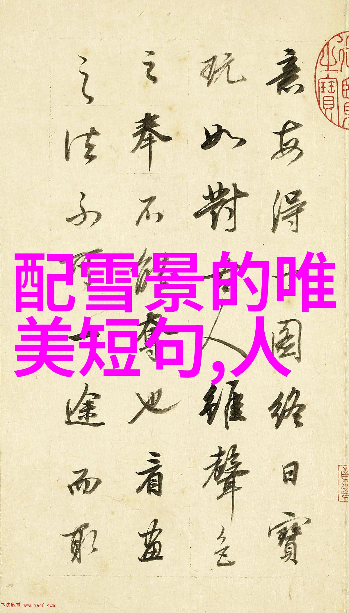 女明星的光芒幕后故事与闪耀时刻