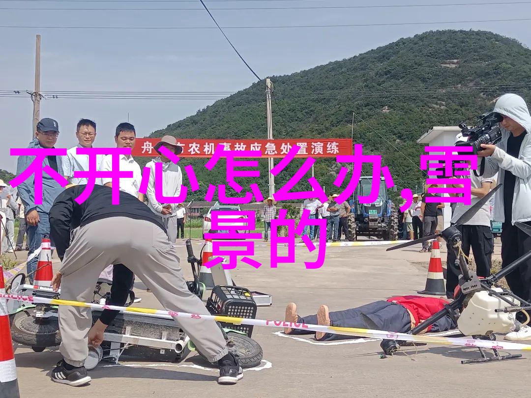 春节的喜庆与温馨传统节日的现代涵义探究