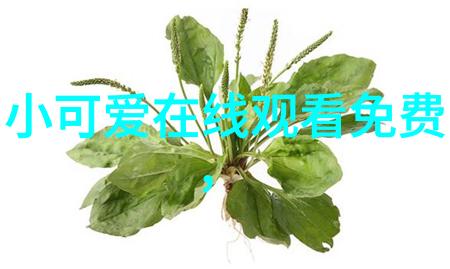 心灵的港湾适合各种心情的句子人生感悟