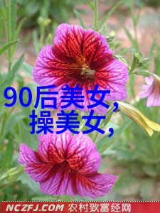 男神的释放