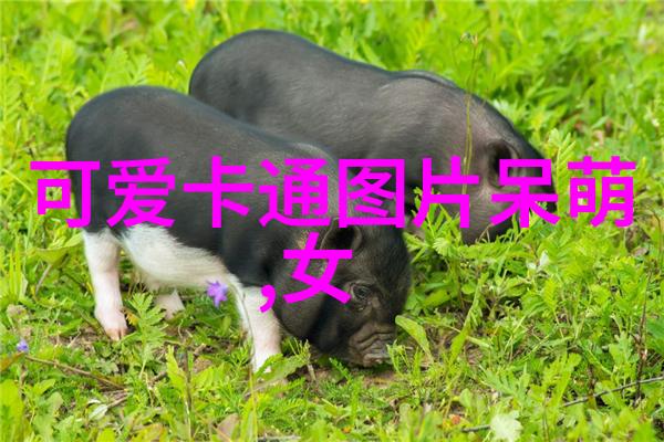 生命之花电视剧明年5月21日开启高雄售票演唱会盛事