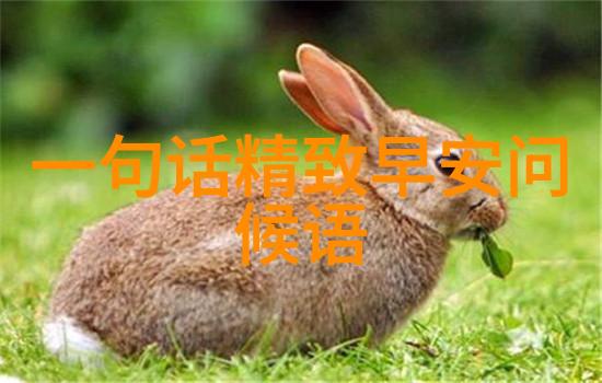 网红排名前十收入的斗鱼大舅哥在户外越野冒险中遭遇了前所未有的巨大意外但令人惊叹的是意外制造者竟然完好