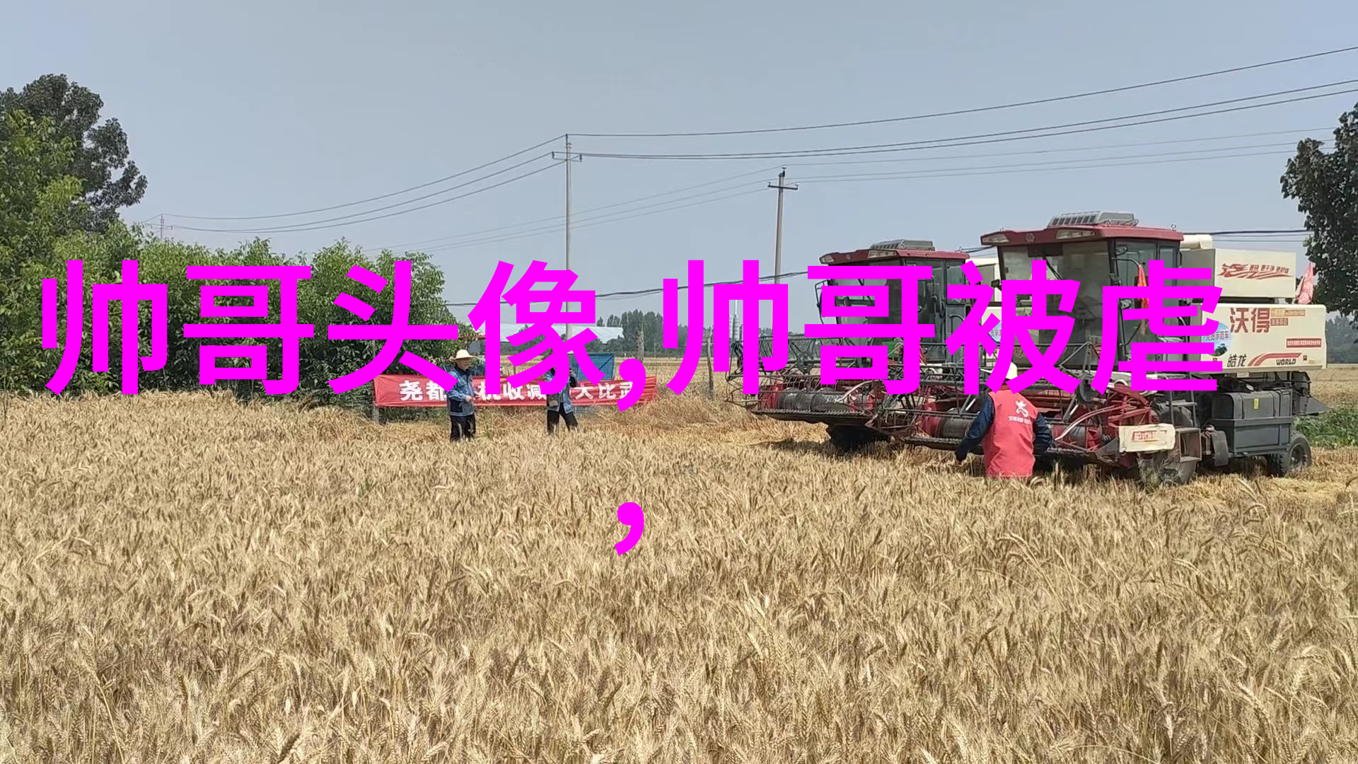 动漫少年绚烂光芒下的时尚之冠