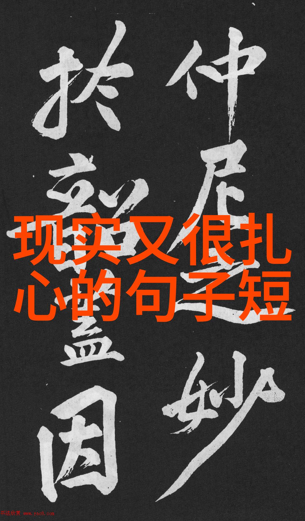 探索今天的节日寻找文化中的独特纪念日