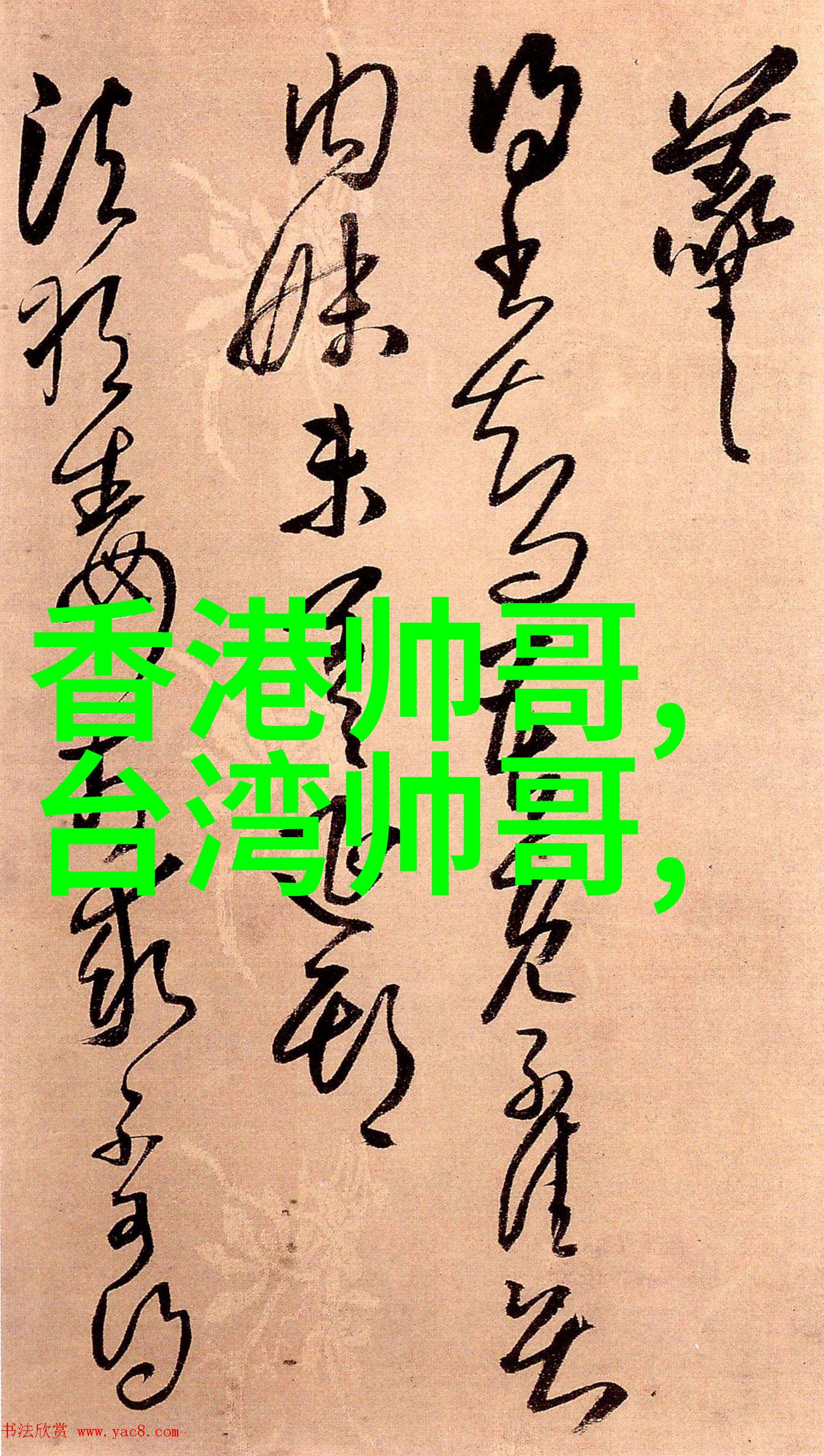 小巧而迷人一张张展现了她们独特魅力每一个角落都充满了生活和希望的感受