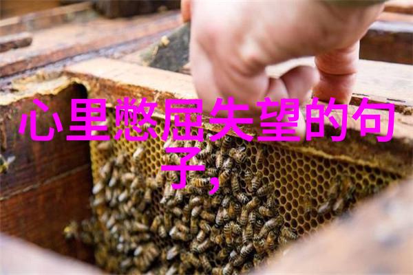 天地姻缘七仙女电视剧引领风潮孙莉张瑶王真儿马吟吟聚焦女性人生选择今日开播