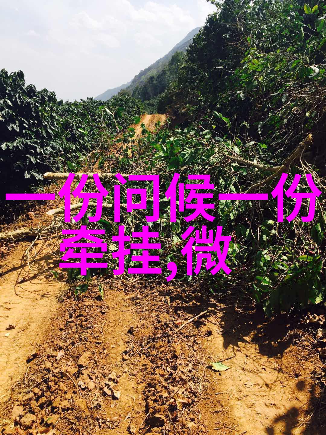 通过烧纸这一行为我们能否学习到生活中的一些道理或哲学观点