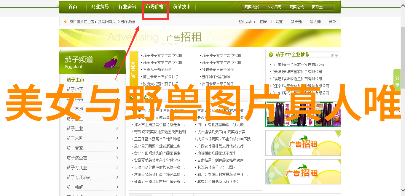 心态要好从优雅的表象到内心的挣扎