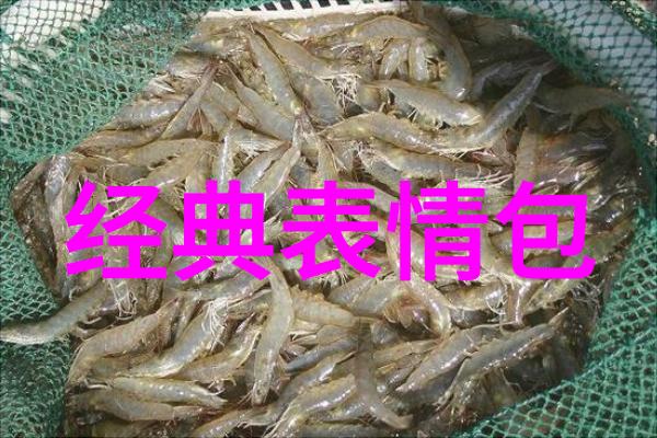 月光下的星辰星明稀的夜晚