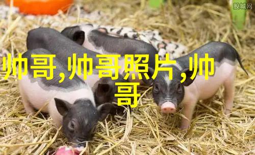 心情烦躁的句子逆境中的灵魂自述