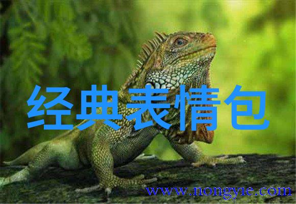 微信聊天友情加号