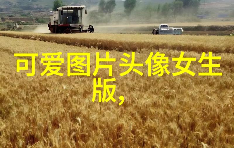 电脑开机显示英文字母无法启动解决方案