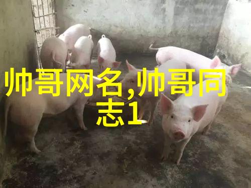 晨曦启程轻盈早晨的问候
