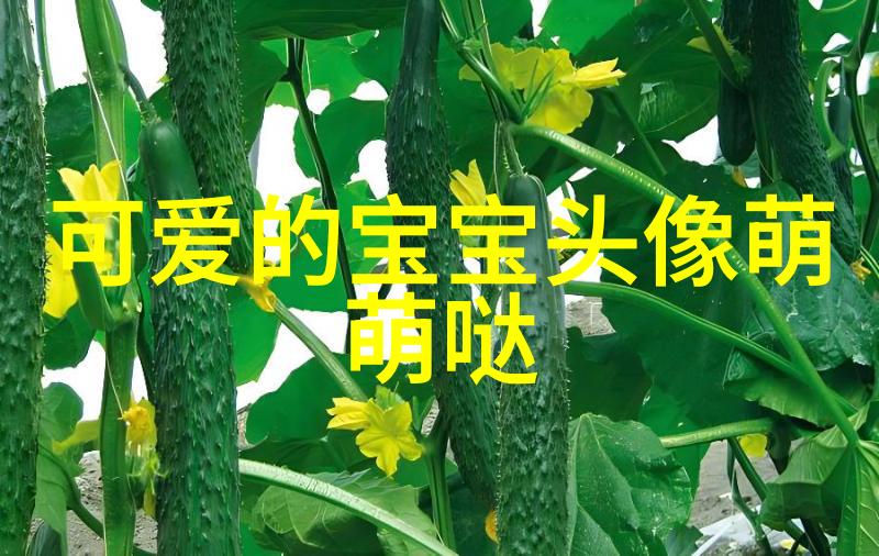 蝴蝶效应微小动作背后的宏大影响