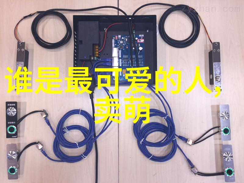 缅甸北部恐怖血腥网站揭露极端暴行的暗网丛林
