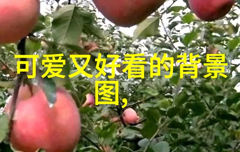 9月9日的秘密世界之谜