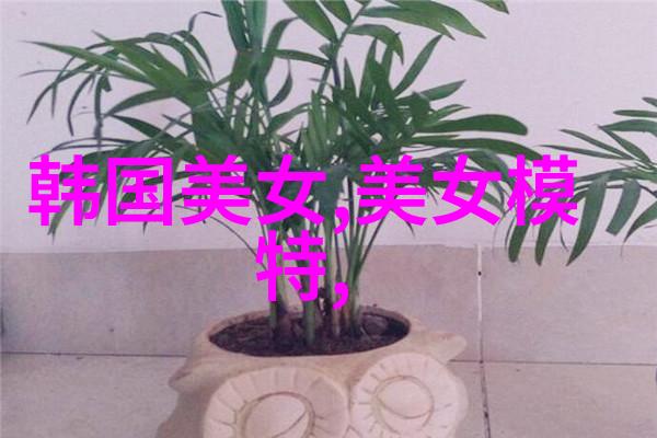 明星大侦探第六季免费观看完整版高清真相何在