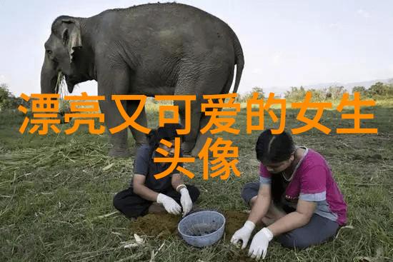 为何有些人会将圣诞树装饰到12月24日而不是25号