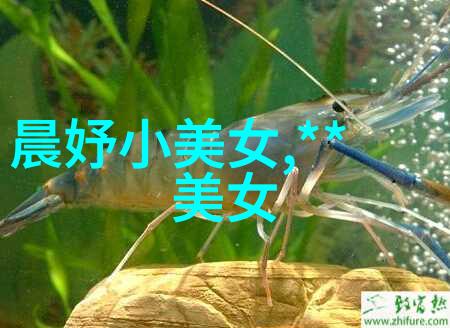 图形符号学视角下探析古代文字系统之相似性与差异性