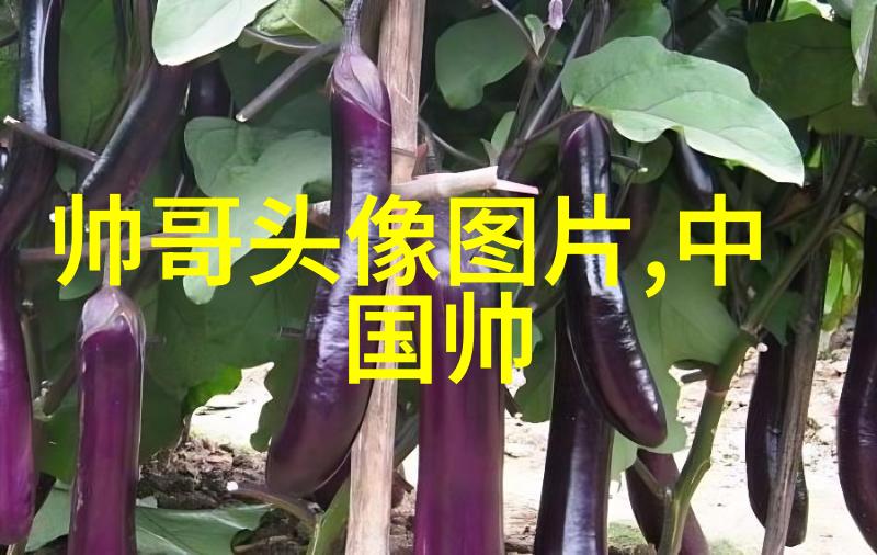甲骨文金文和篆书一段古代书写艺术的演进史