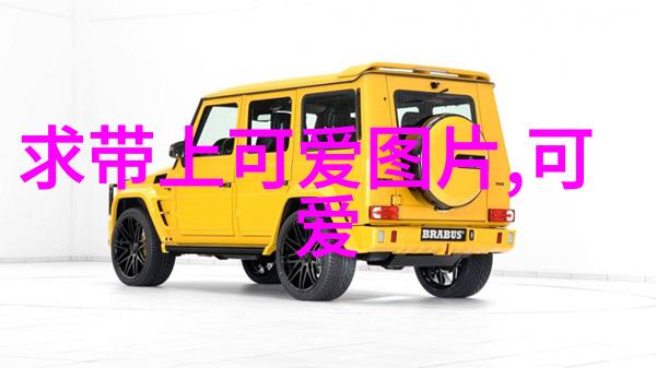 身份号019揭秘数字背后的故事