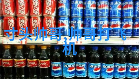 月光下的孤鸿星辰稀疏时乌鹊的南飞之谜