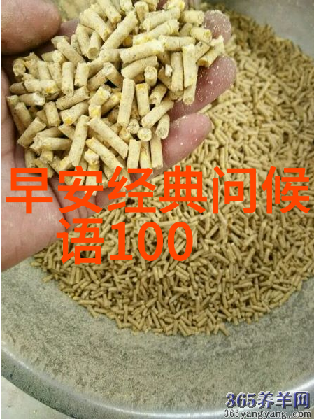 美食说说大全品味生活的优美句子