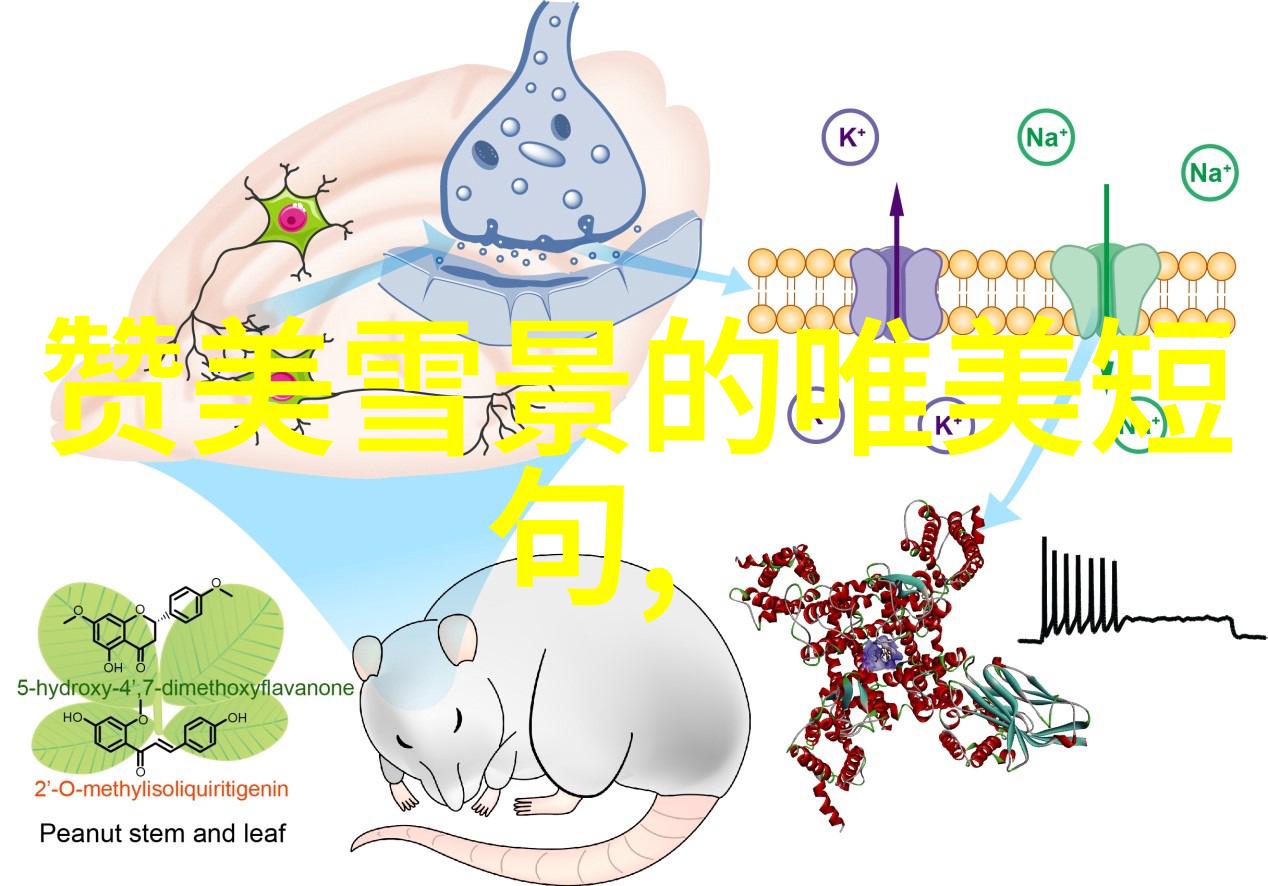 新春佳音2023年节日时光的安排