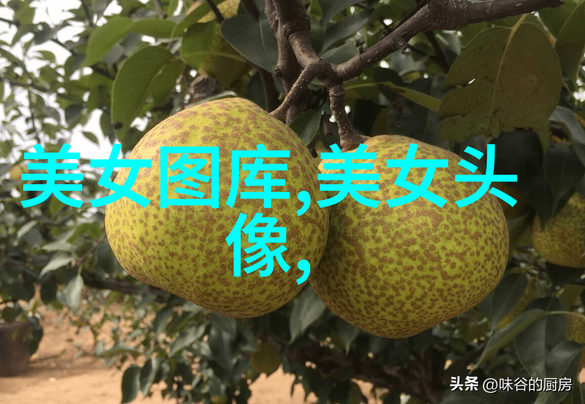 唯美艺术-诗意绘景透视画面中的文字与图像融合
